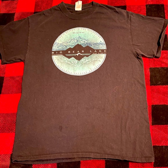 ❤️BIG BEAR, CALIFORNIA SOUVENIR TEE SHIRT❤️Men’s size medium❤️Great Condition❤️ - Picture 3 of 8